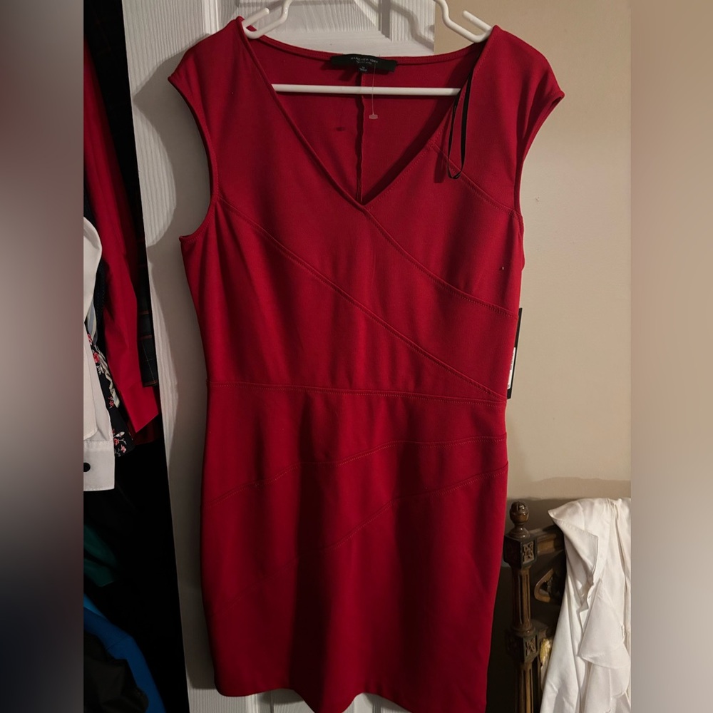 Red Andrew Marc dress